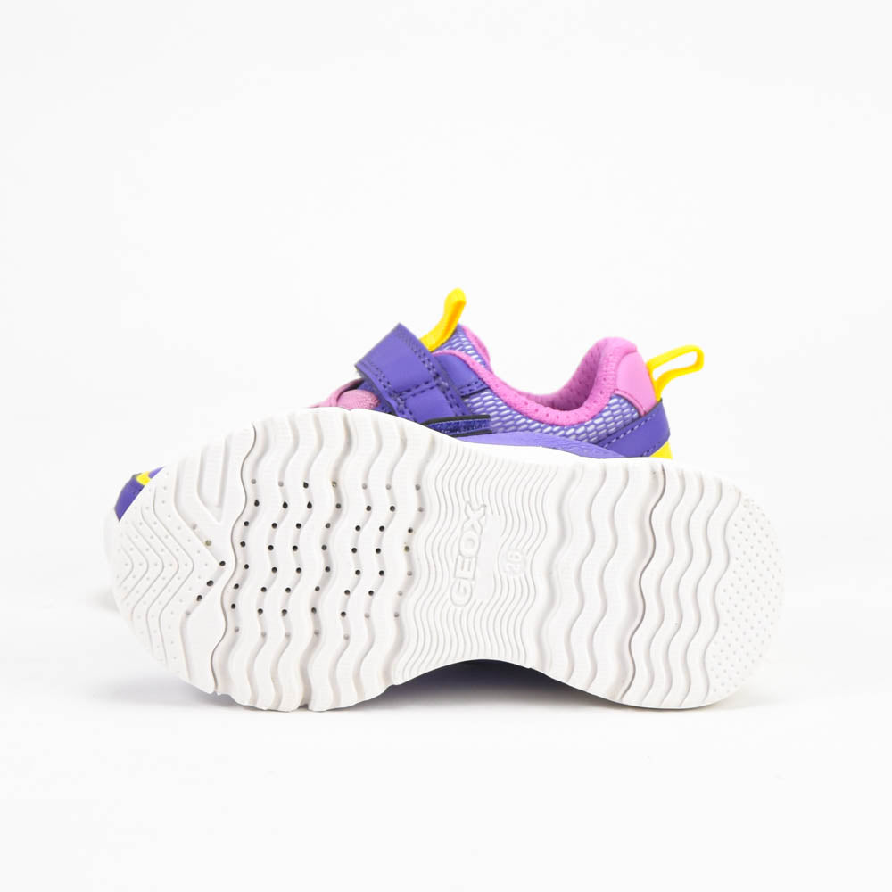 GEOX BASKET