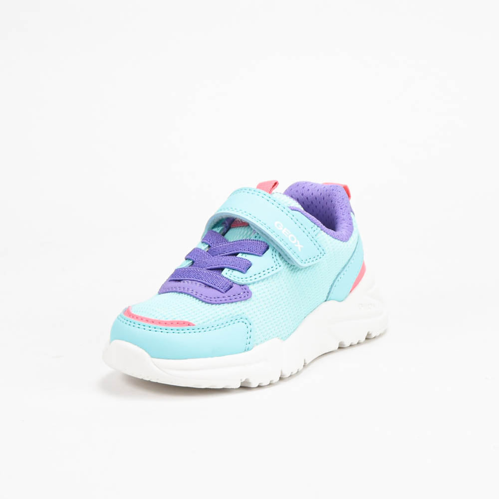 GEOX BASKET
