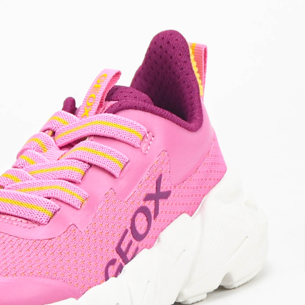 GEOX BASKET