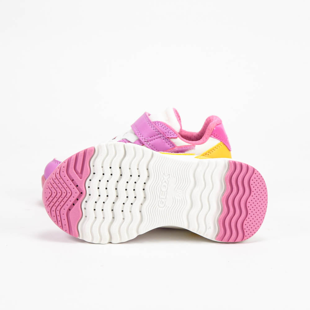GEOX BASKET